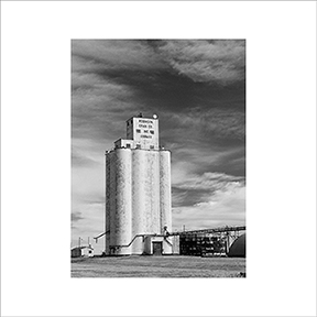 DSC_3725-BW-5½x7½-BLS-2015-Conway DSC_3725-BW-5½x7½-BLS-2015-Conway