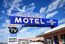 DSC_4714-moo-card-tucumcari-nm