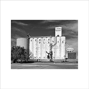 DSC_8587-5575360-BW-BLS