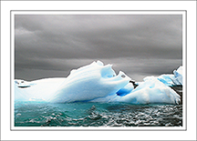 Ushuaia-to-antarctica-and-back-march-2009-(2372)-v2-note-card