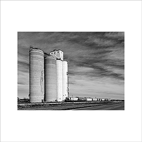 _DSC0890-BW-5575360-BLS