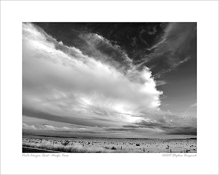 _DSC1361-1216360-BW-v2-BLS-MiM