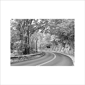 _DSC2547-Johnson-VT-5575360-BW-BLS _DSC2547-Johnson-VT-5575360-BW-BLS