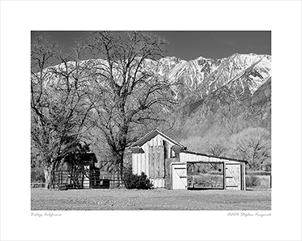 _DSC4214-ska-bw-BLS-1216360