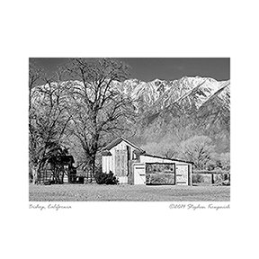 _DSC4214-ska-bw-p8511360 _DSC4214-ska-bw-p8511360