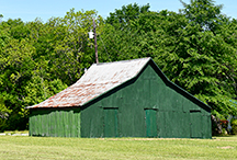 _DSC7060-moo-v2-newbern-al